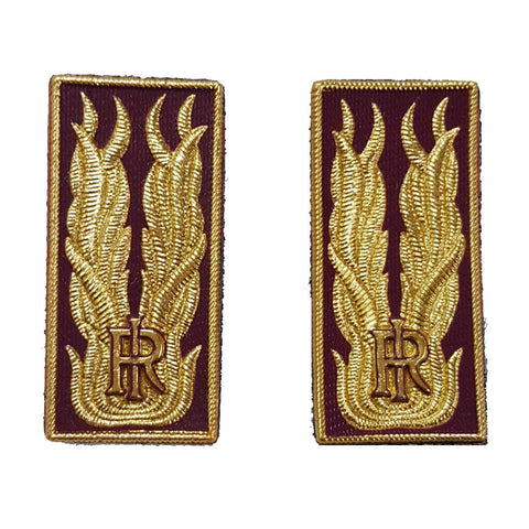 Alamari in Plastica Polizia di Stato