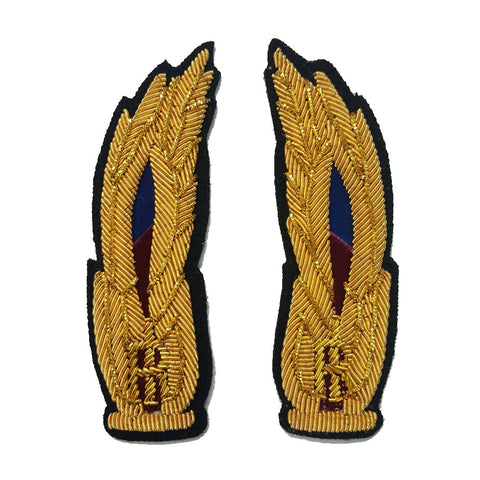 Alamari Sostituto Commissario Tecnici PS