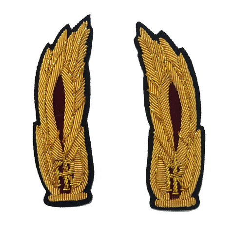 Alamari Sostituto Commissario Polizia di Stato