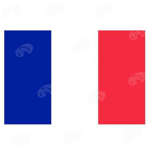 Bandiera Francia