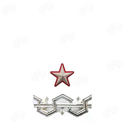 grado in metallo Colonnello Funzioni Grado Sup.