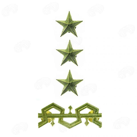 gradi in metallo Dirigente Generale Pubblica Sicurezza Liv. B