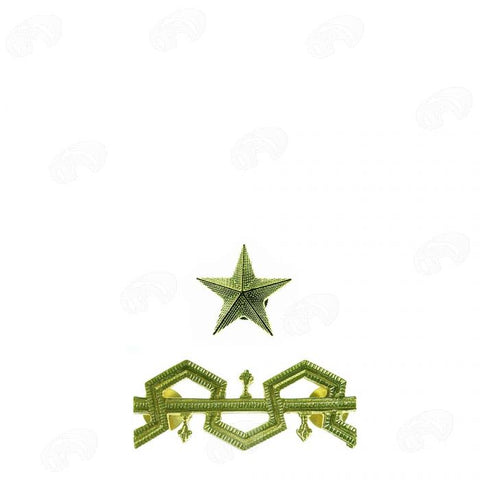 gradi in metallo Dirigente Superiore