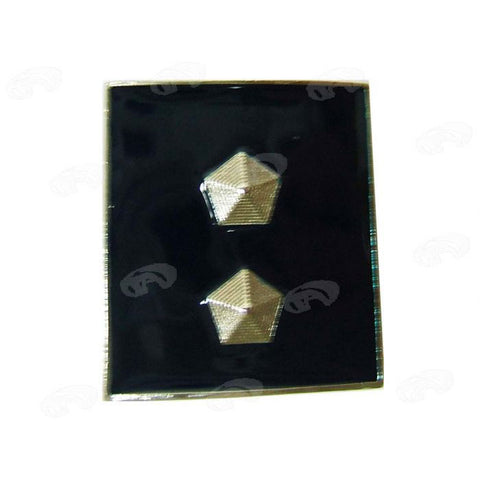 gradi in metallo Ispettore