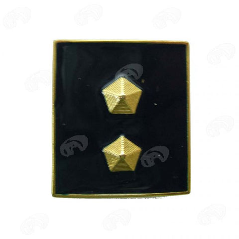 gradi in metallo Ispettore