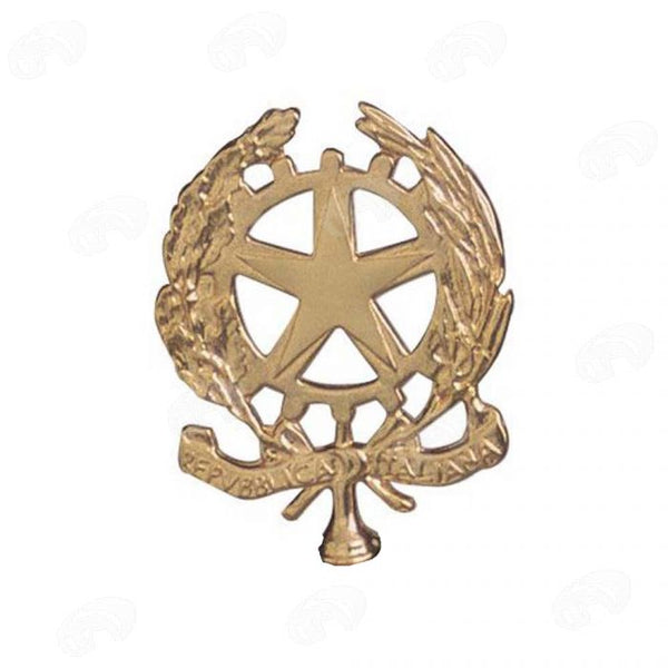 Emblema Di Classe Realizzato Con Decorazione Delle Ali Daquila Lance E Simboli Della