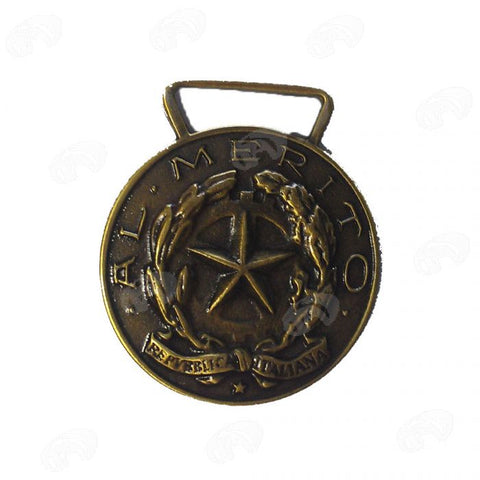 Medaglia al Merito C.R.I.