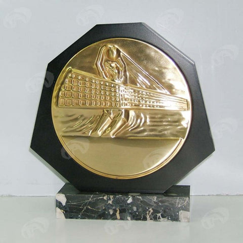 Trofeino Pallavolo